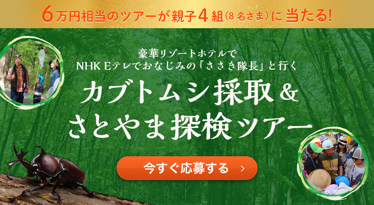 豪華リゾートホテルでNHK Eテレでおなじみの「ささき隊長」と行くカブトムシ採取＆さとやま体験ツアー