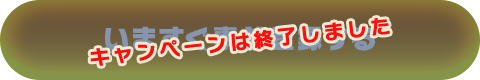 キャンペーン応募
